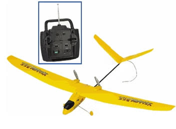 Yellow Bee electric RC plane Images
