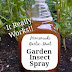 Homemade Garlic-Mint Garden Insect Spray