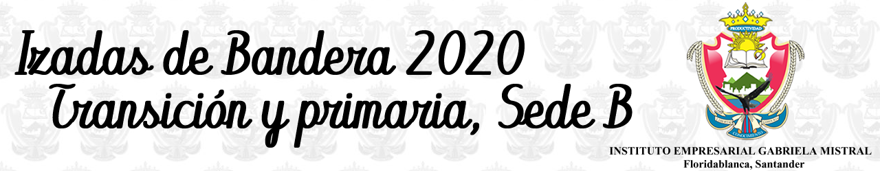 IZADAS DE BANDERA 2020