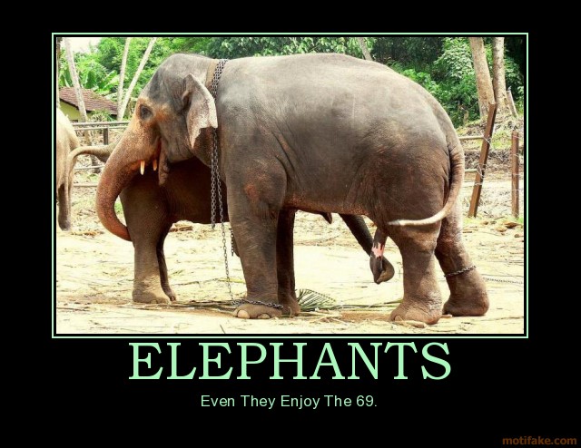 Elephant List - Elephant list Porn