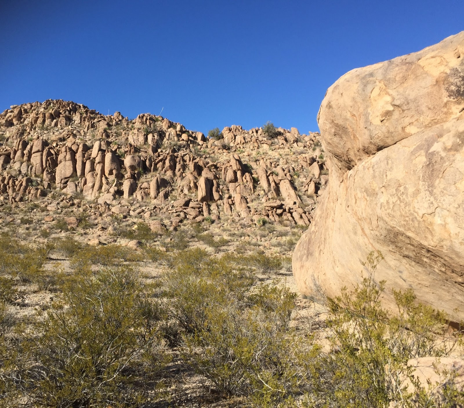 Southern New Mexico Explorer Doña Ana Mountains