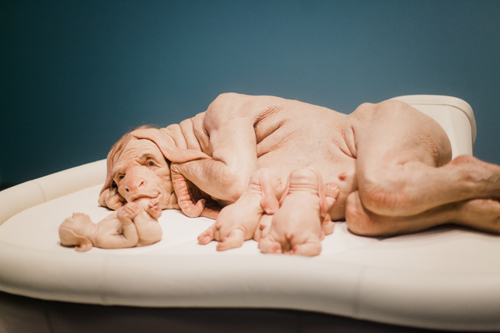 Patricia Piccinini curious affection