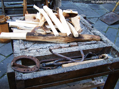 Albenga Palio 2010