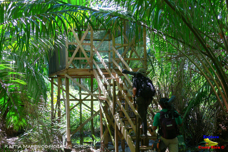 Explore Costa Rica: Refugio Nacional de Vida Silvestre y Lodge Hacienda