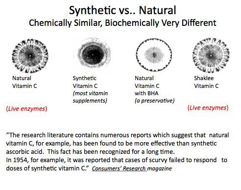 Natural Vs Synthetic Paint Brushes Natural Vs Synthetic Paint Brushes