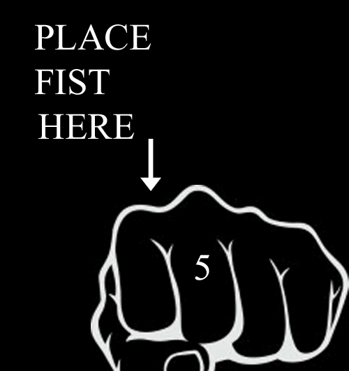 place fist here