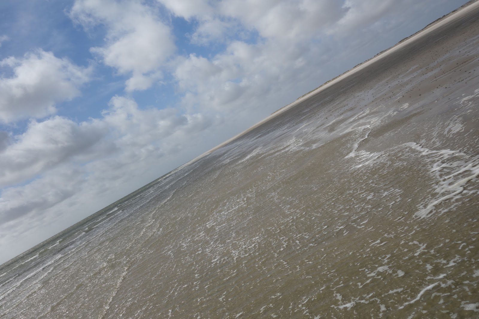 DSC00788.JPG