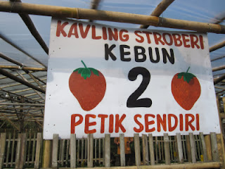 Kavling Strawberry Cihideung Lembang Bandung