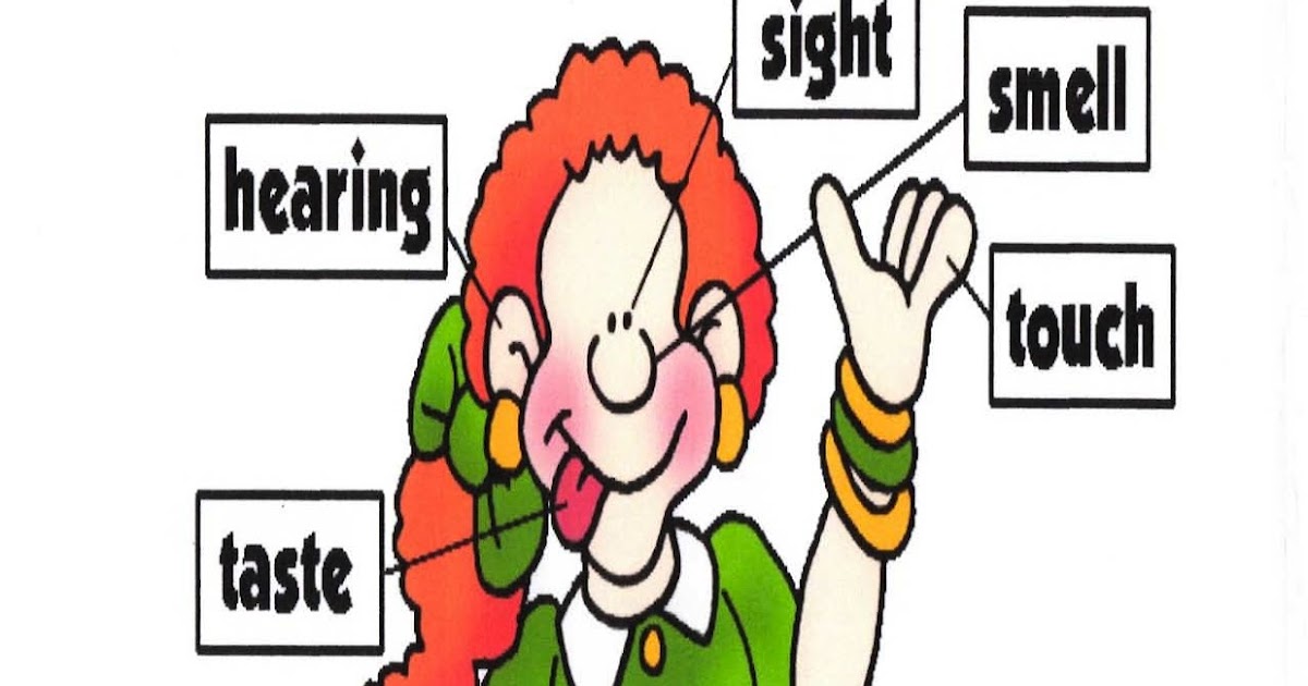 Classroom Freebies My 5 Senses Anchor Chart