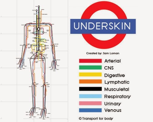 01-Sam-Loman-Illustrator-Graphic-Designer-Human-Body-System-as-Subway-Map-www-designstack-co