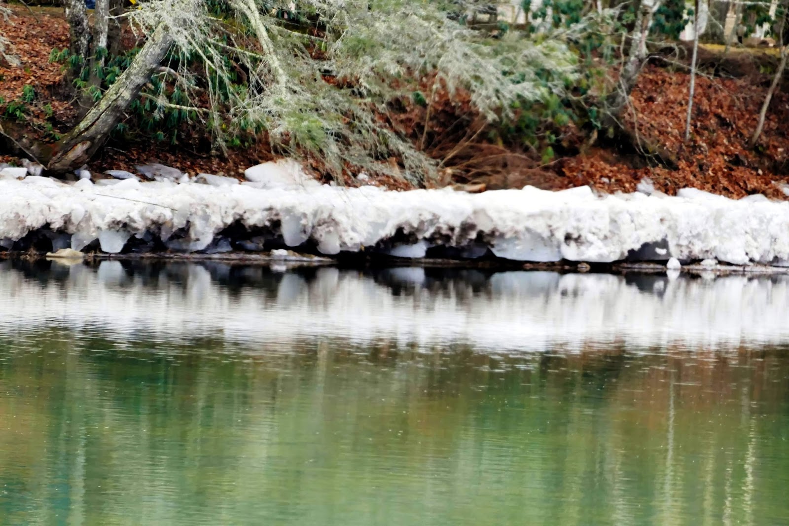Super Wide Blog Rolling on the River