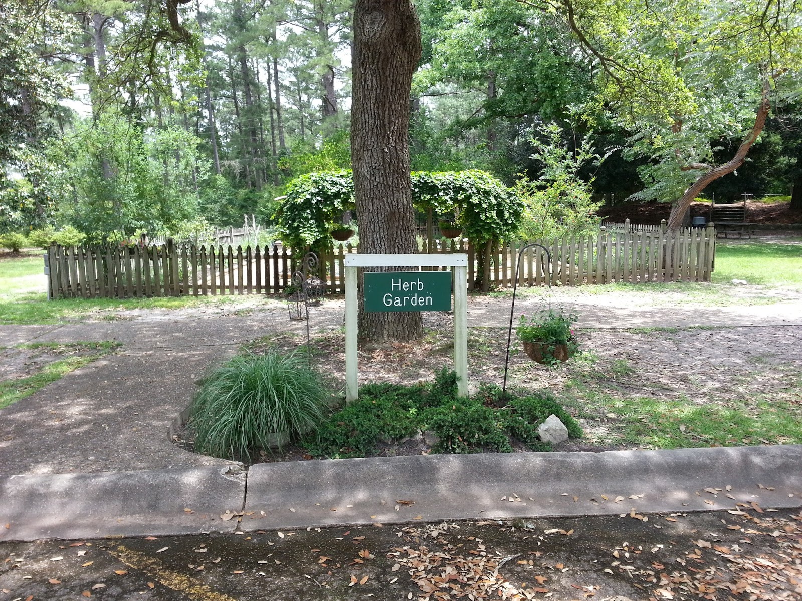 Louisiana Town HODGES GARDENS, PART III