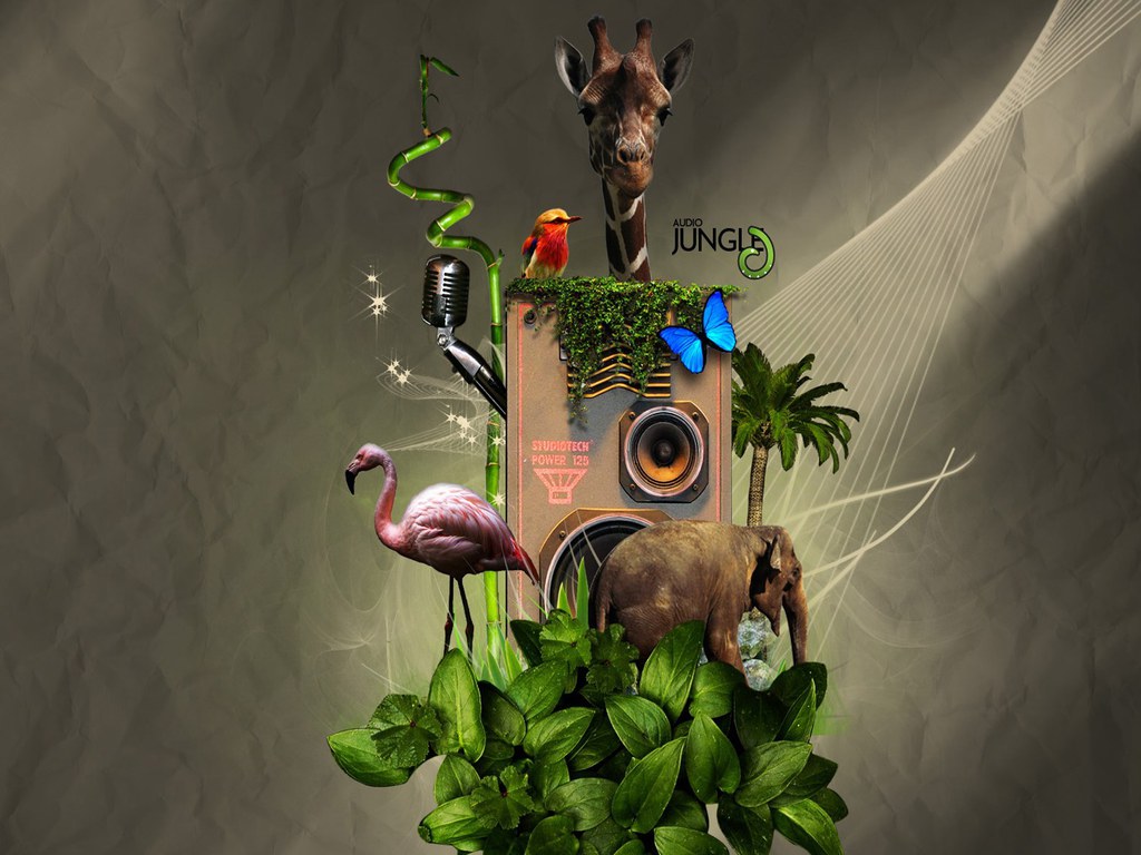 Download this Browse And Download Our Nice Selection Jungle Music Backgrounds picture