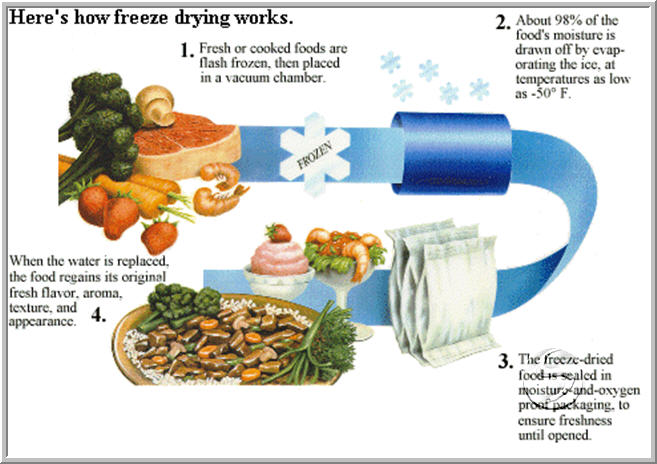 FOOD PRESERVATION : FREEZE-DRYING, IRRADIATION AND VACUUM PACKING | S T