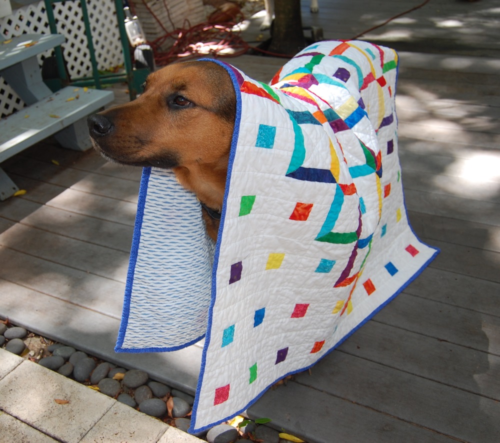 Stormy Days Pets on Quilts 2016