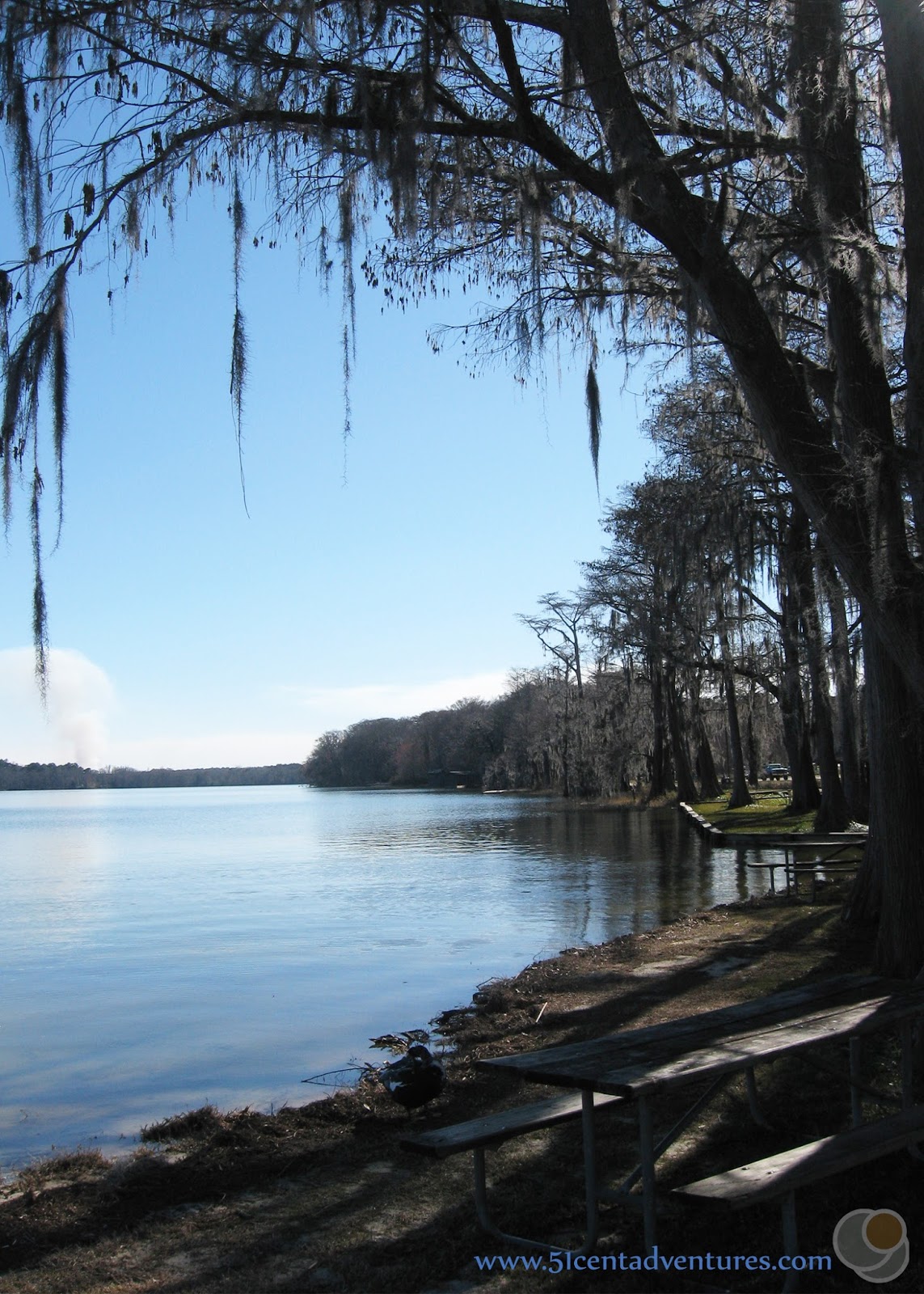 51 Cent Adventures 25 Staycation Attractions near Fort Rucker, Alabama