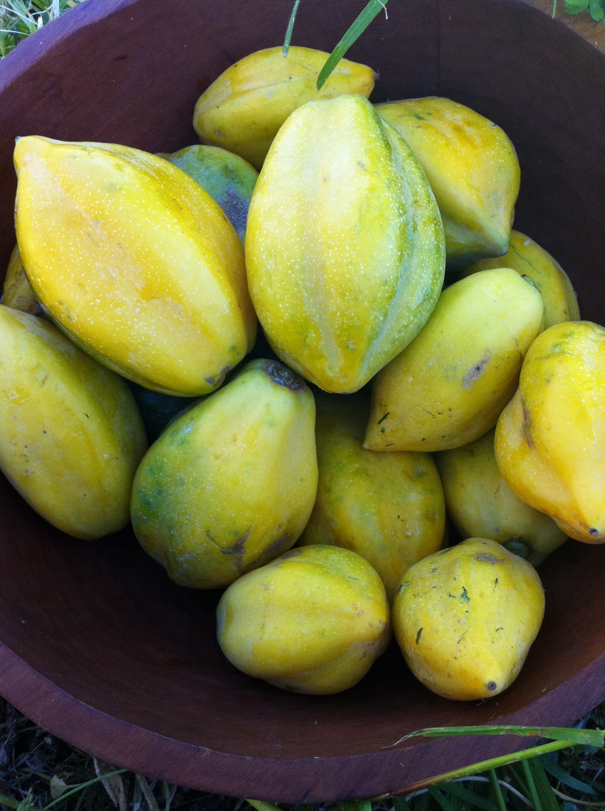 Rescatando Recetas Papayas