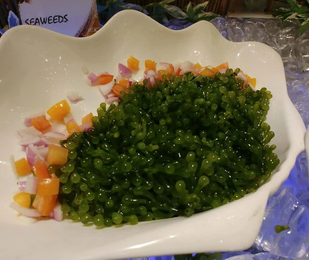 Sea grapes, a type of seaweed, at the salad station of Buffet 101 Restaurant
