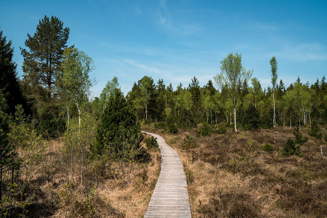 Moos-Rundweg Blaues-Land Murnau-staffelsee 07