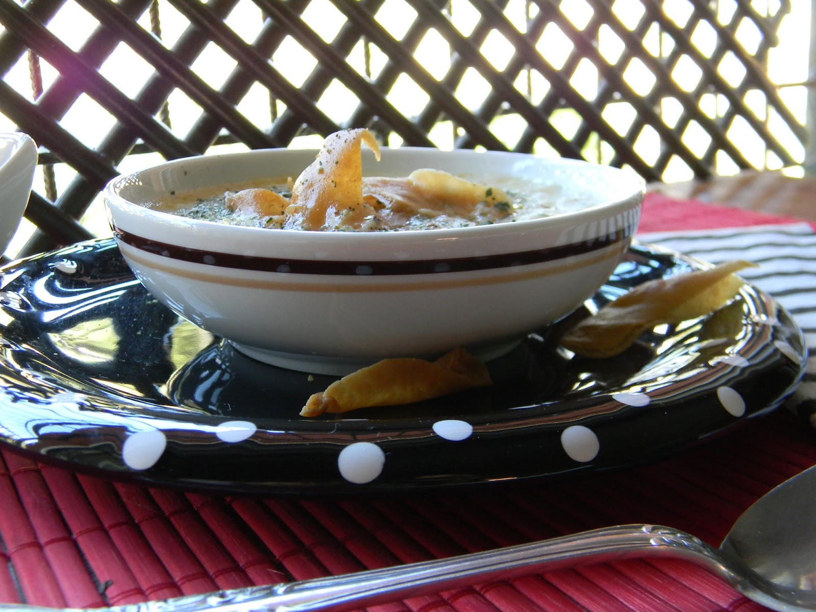 Terbiyeli Yıldız Şehriye Çorbası Et Suyuna Vişnap