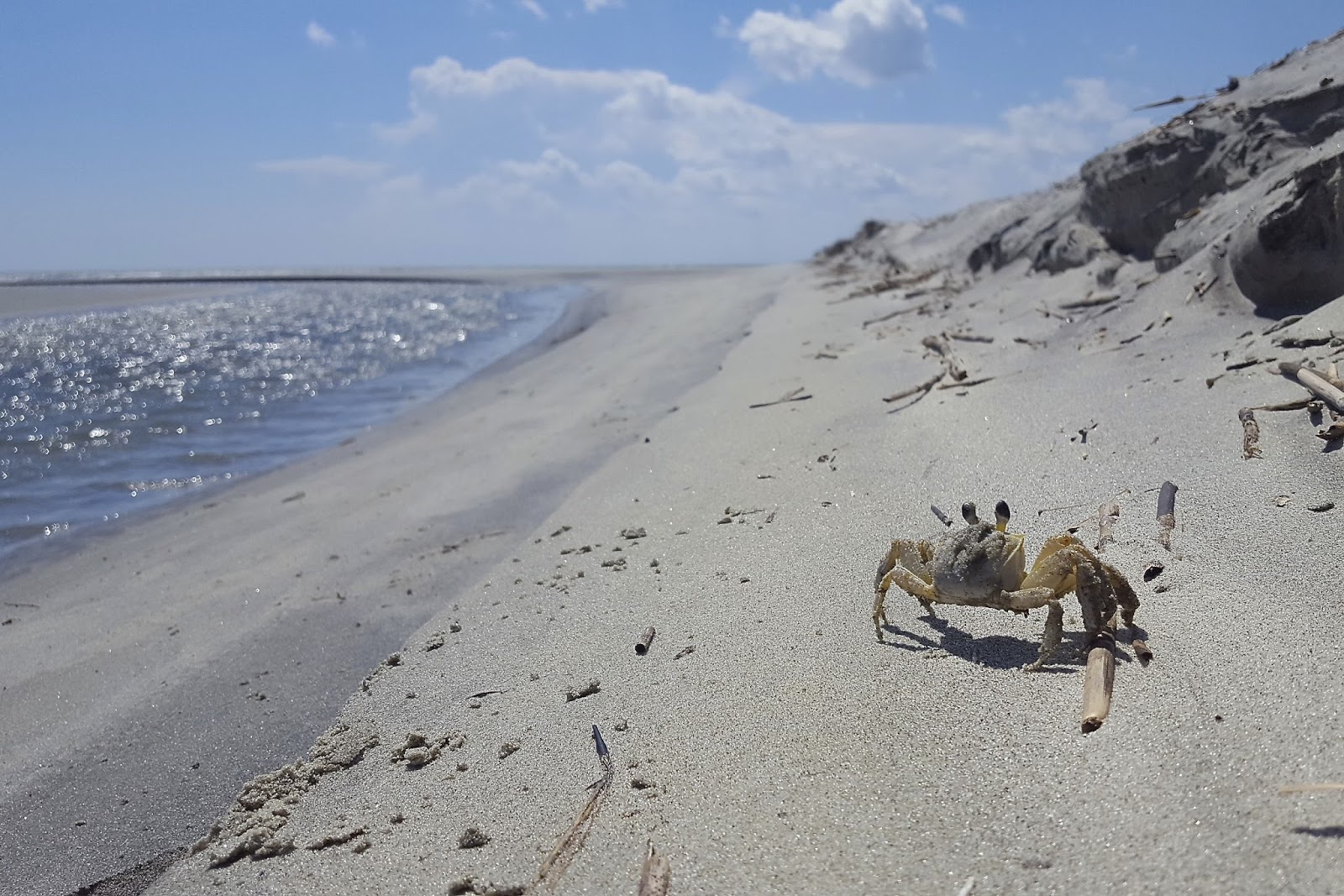 borrowed heaven Lowcountry Eats Ryder Cup Bar