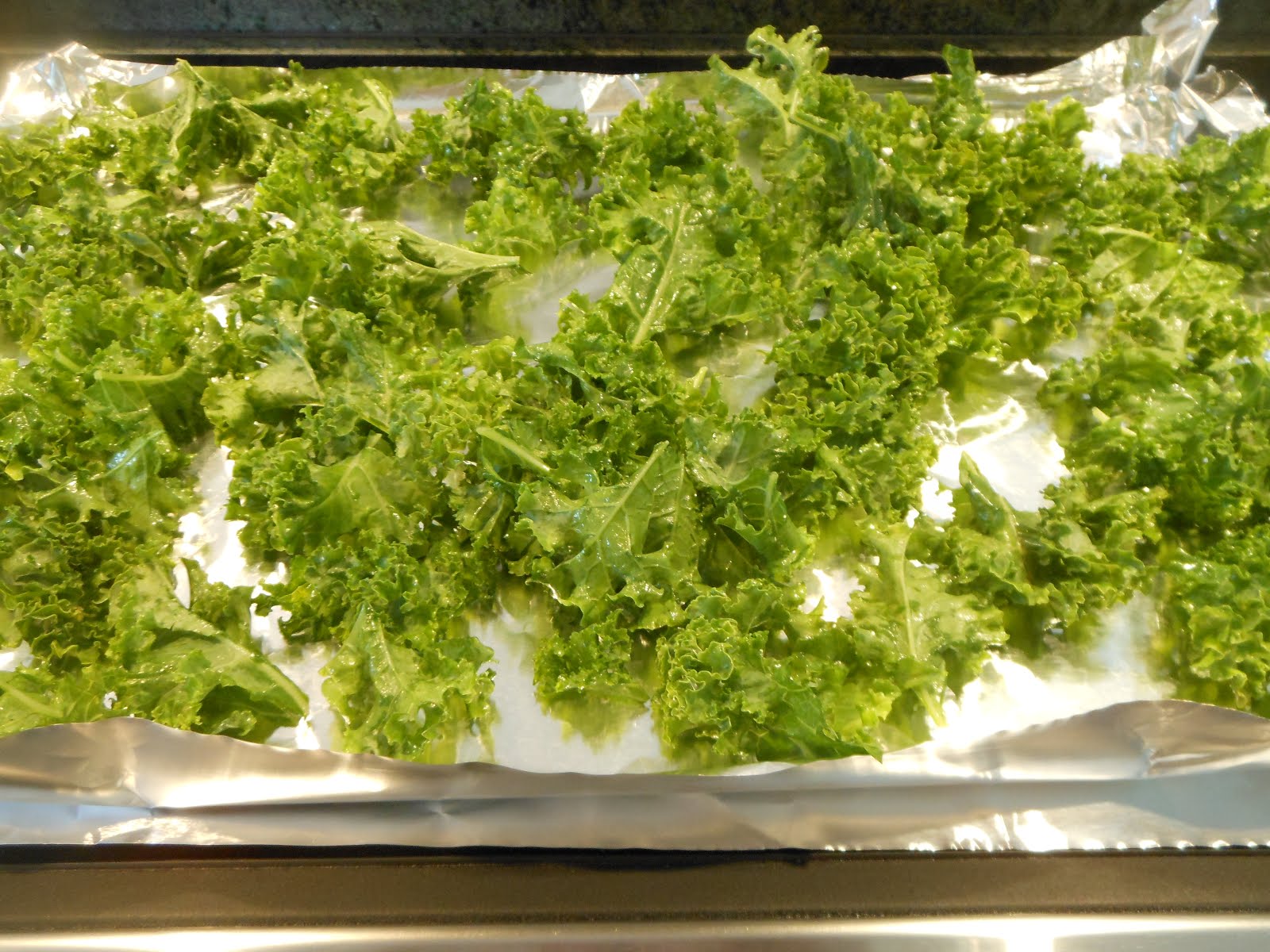 The Gourmet Diabetic Kale Krisps