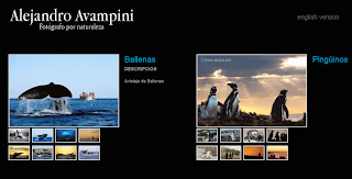 El fotógrafo de Naturaleza Alejandro Avampini, dueño de la Hostería Ecológica, actualiza su web