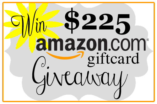 Win a $225 Amazon.com Giftcard!