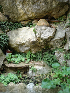 El jardín en macetas: Rocas