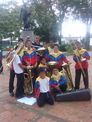 Orquesta Sinfonica Juvenil Sur de Aragua