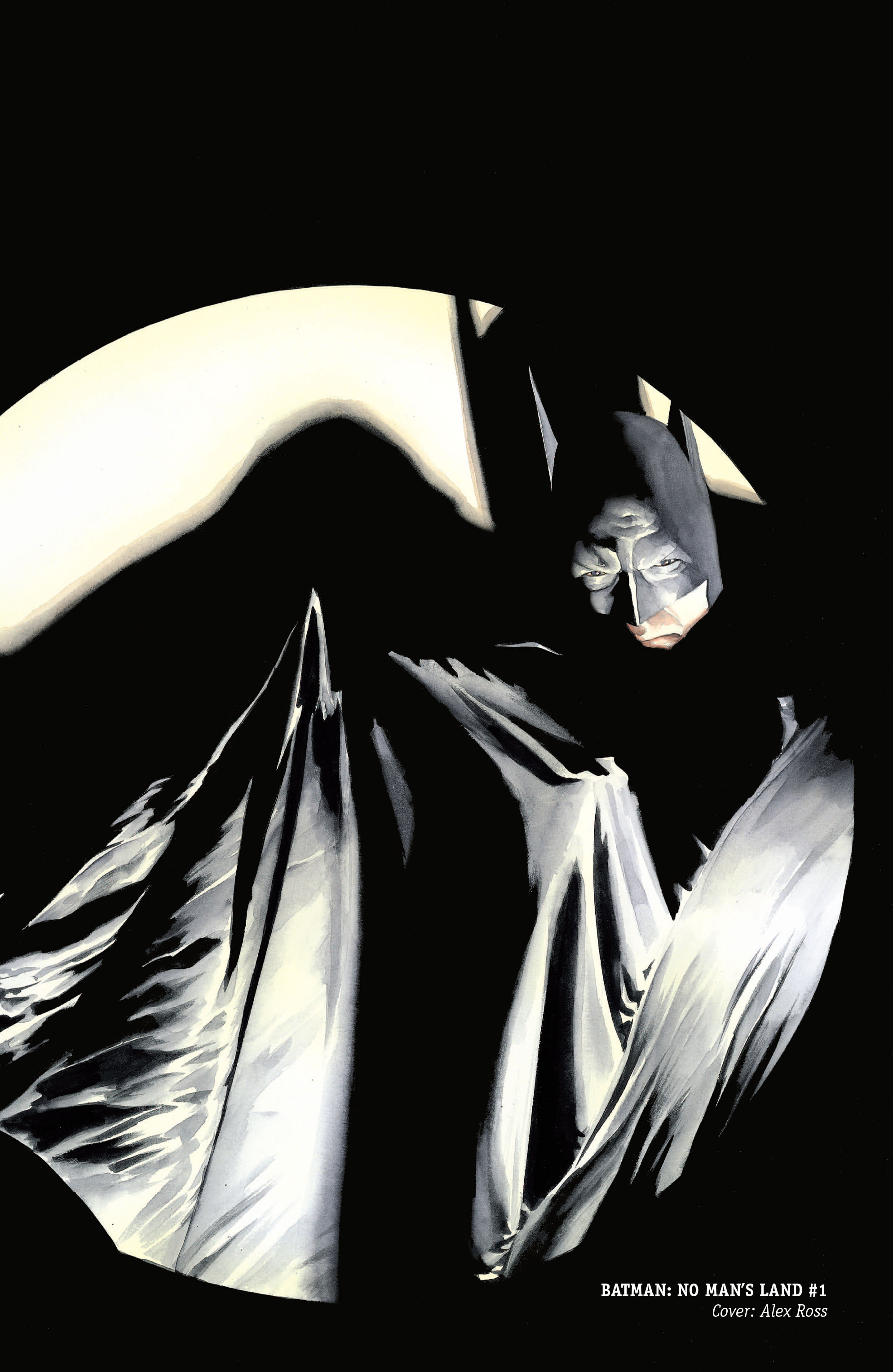 Read online Batman: No Man's Land (2011) comic -  Issue # TPB 1 - 517