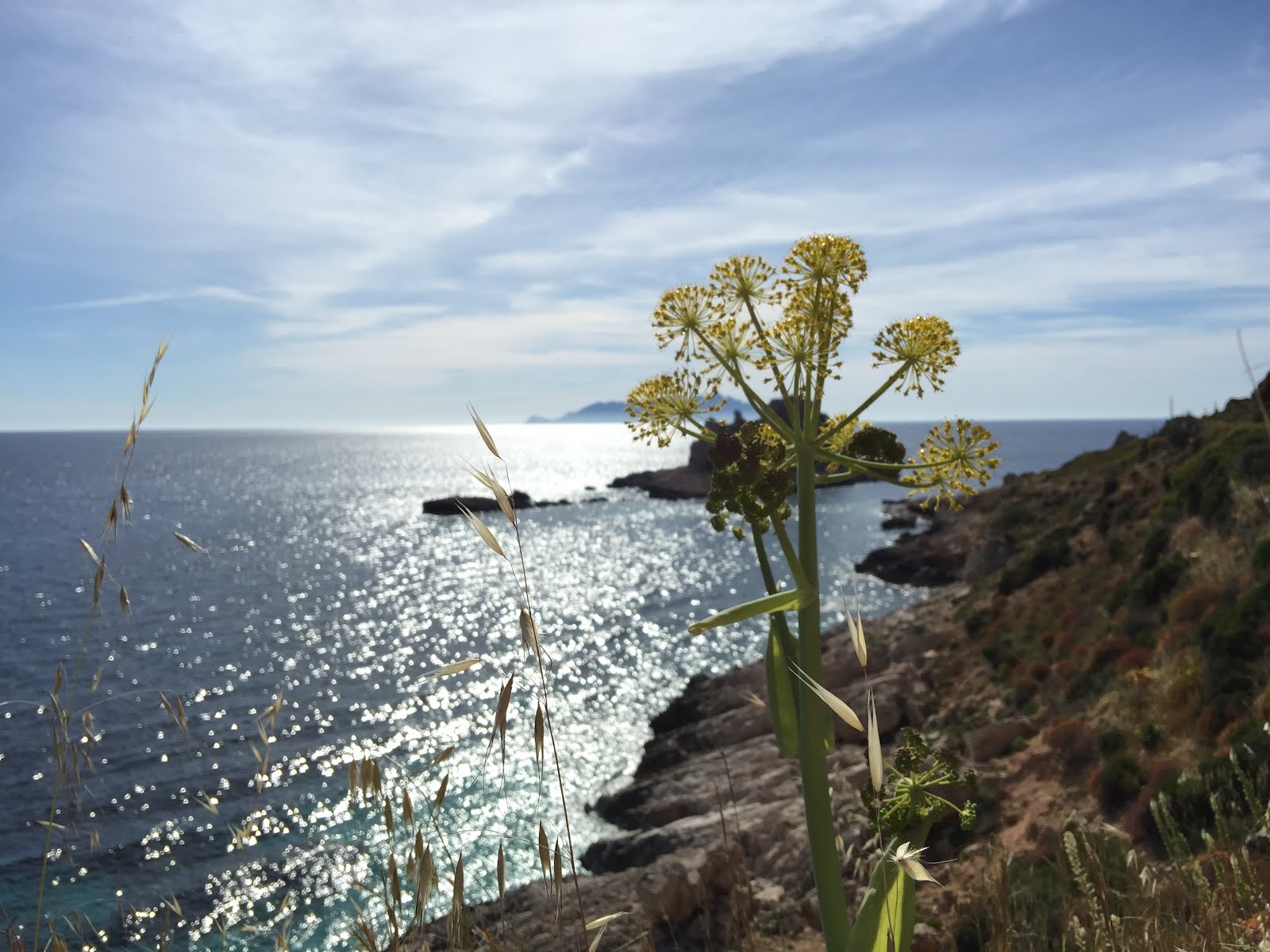 Sicilia,Maggio 2016,