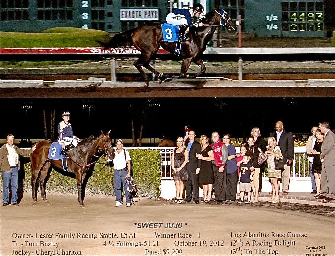 Julie Hibbard Sweet Juju