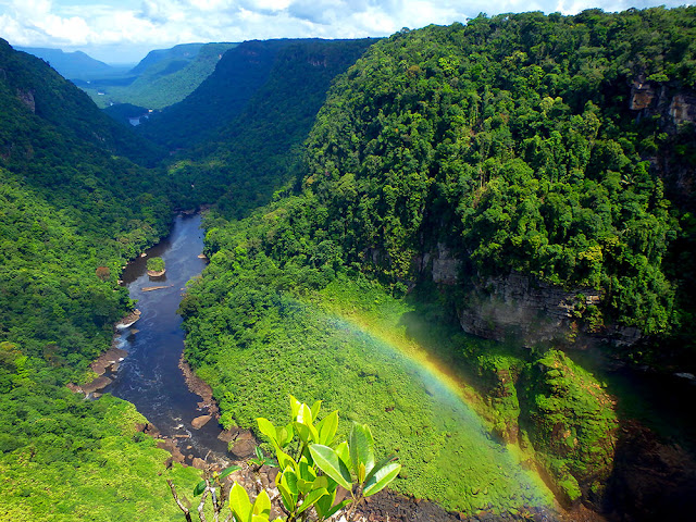 Kaieteur Falls Guyana worlds highest single drop waterfall