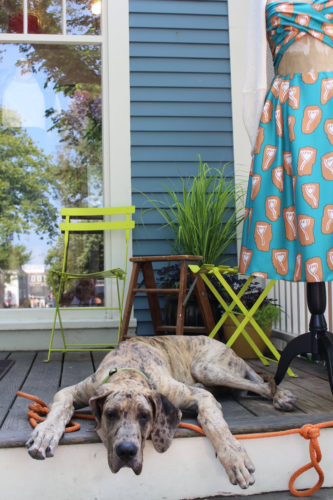 Big dog on little porch (Nantucket)
