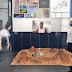 Spatial Reveals Their Cross-Reality AR Collaboration Platform