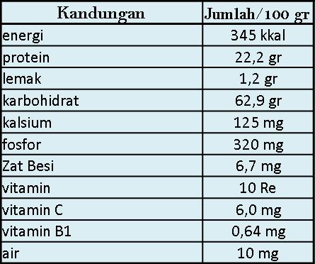 kandungan