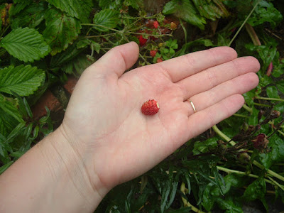 Photo of a small red strawberry on the palm of a hand