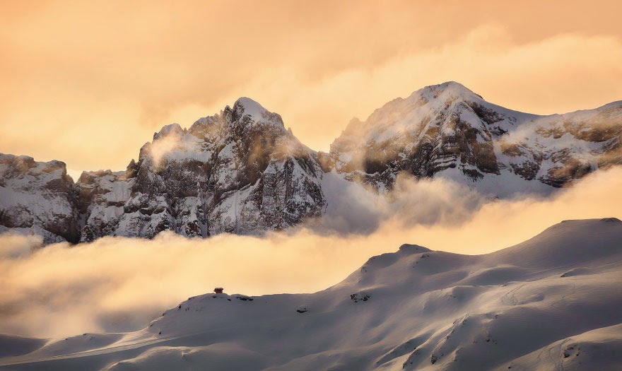 %2315%2BDents%2BDu%2BMidi%2BIn%2BThe%2BS