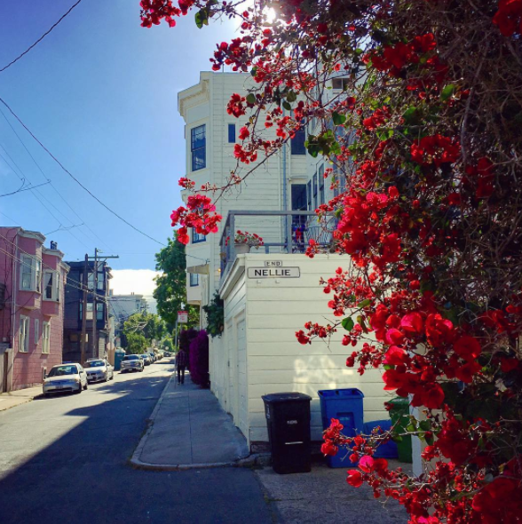 This Week in Noe Valley More Housing, Green Streets and What to Do About Old People and Their