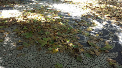 (Almost) Wordless Wednesday - falling leaves already?