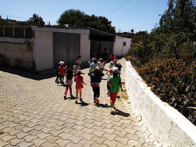 Infantil 4 Años A: 80.-VISITA A LA GRANJA.