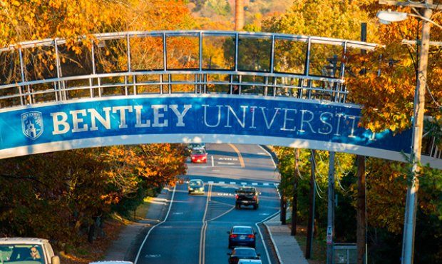 So University Education Base Degree Info: Bentley University Education Degree So University Education Base Degree Info: Bentley University Education Degree