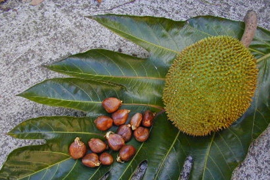AFROCOLOMBIANIDAD: Comidas Típicas de los Afros