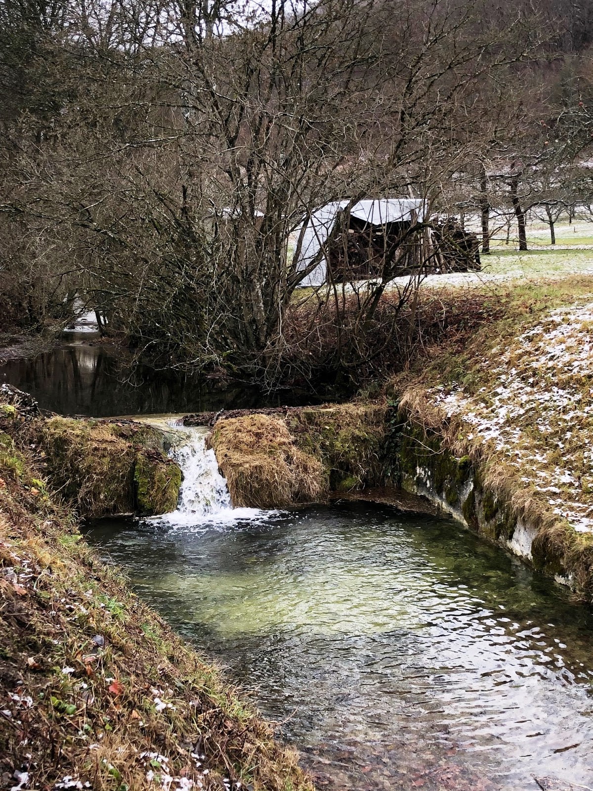 Altenburg Am Neckar 2019