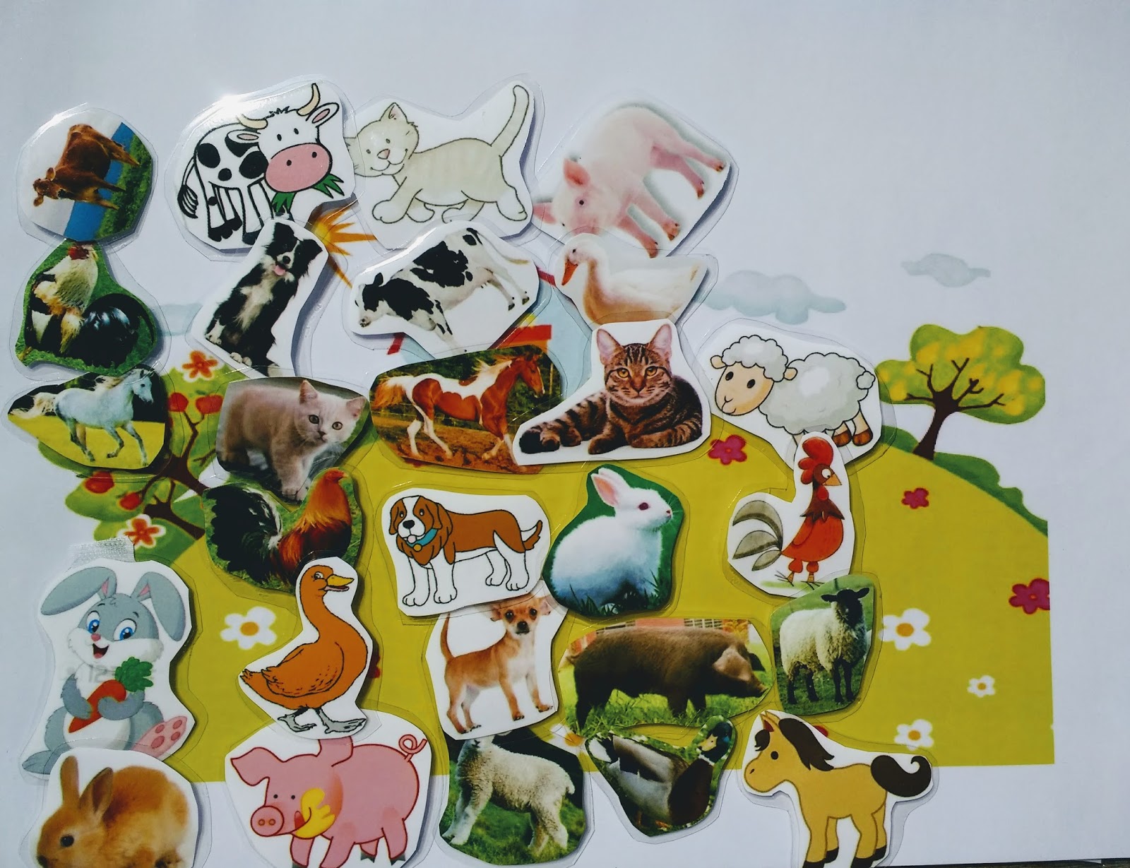 Animales De La Granja Servicio Uvai De Asnimo