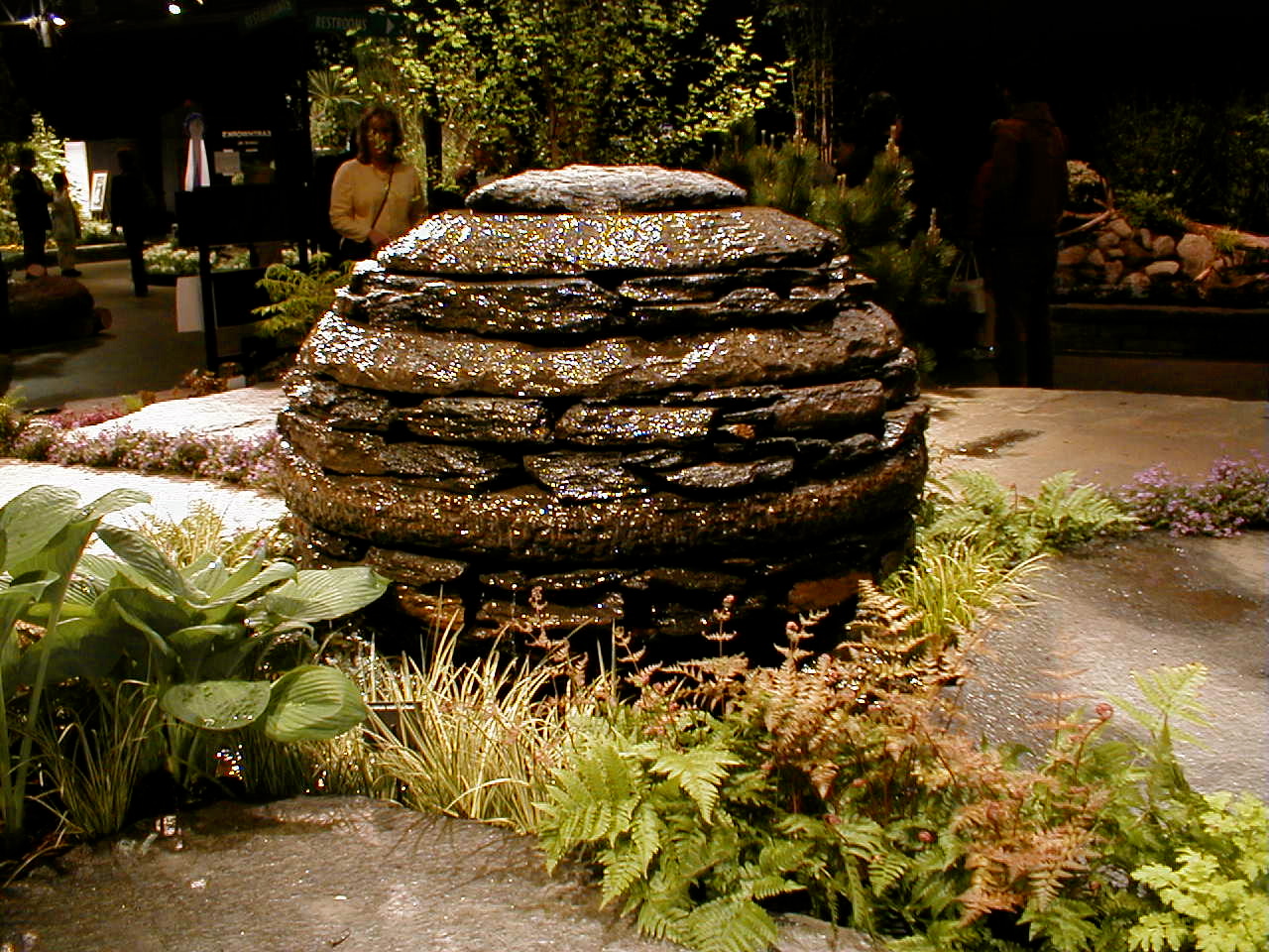 Bonney Lassie Reminiscing About Past New England Flower Shows