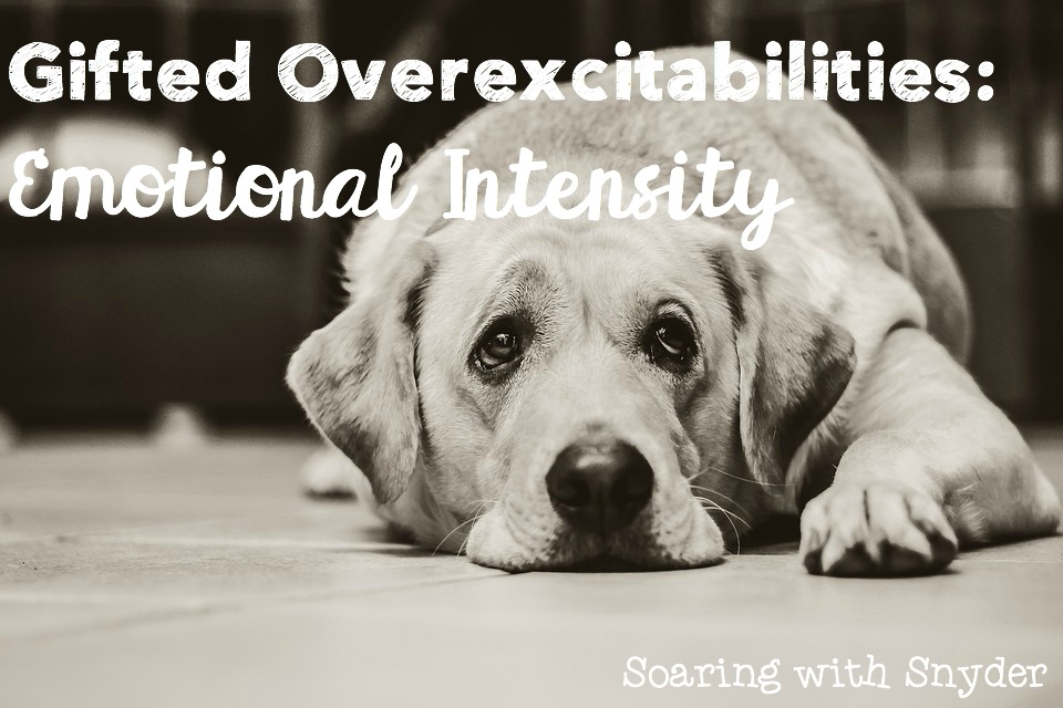 Living with Intensity: Giftedness & Self-Actualization - InterGifted