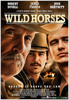 Bầy Ngựa Hoang - Wild Horses Bầy Ngựa Hoang