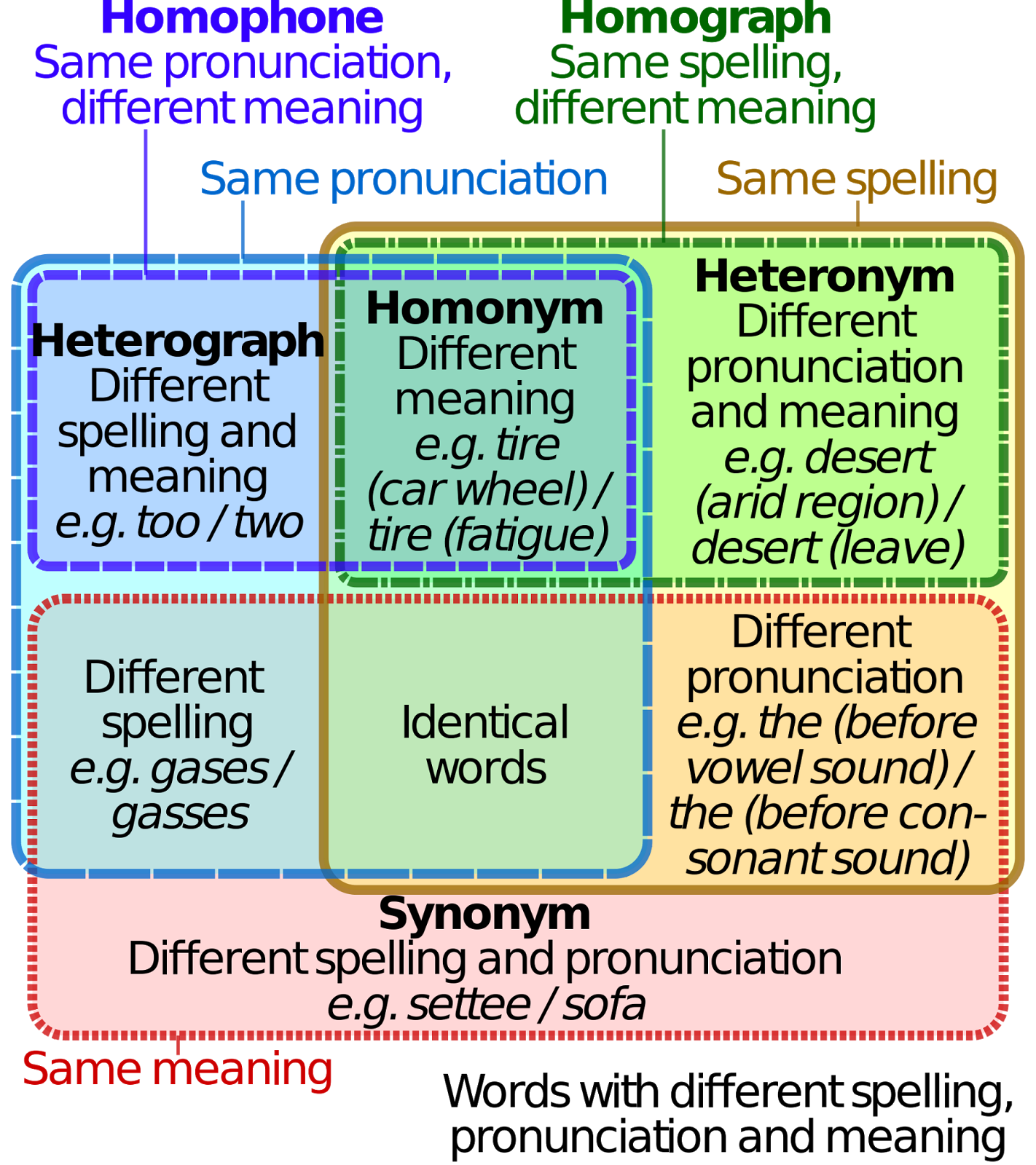 Eezee English Zone Homonyms words